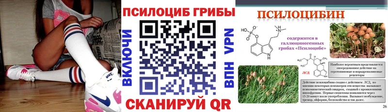 Псилоцибиновые грибы Psilocybine cubensis Карабаново